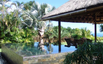 Jardin d'esprit Mauricien : Vue Bassin et Kiosque