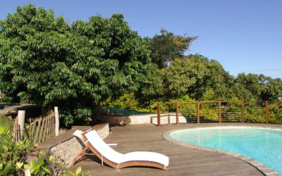 Aménagement jardin particulier vue piscine
